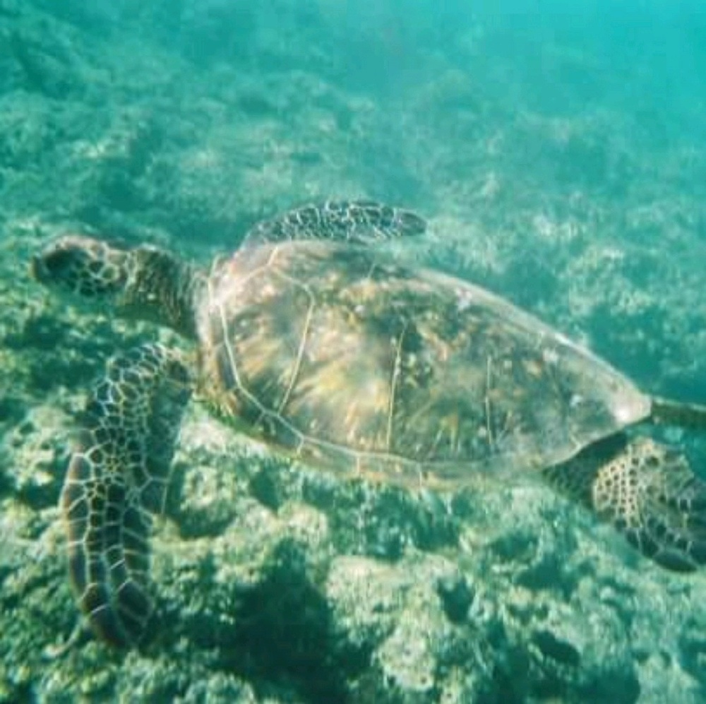 Meet your Posher, Jamie